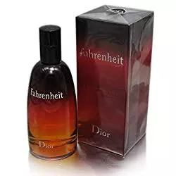 Dior Accessoires Christian Dior Fahrenheit homme/man, Eau de Toilette Vaporisateur, 1er Pack (1 x 100 ml)