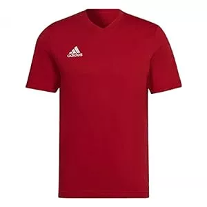 adidas T-Shirts adidas Herren Entrada 22 T-Shirt T-Shirt