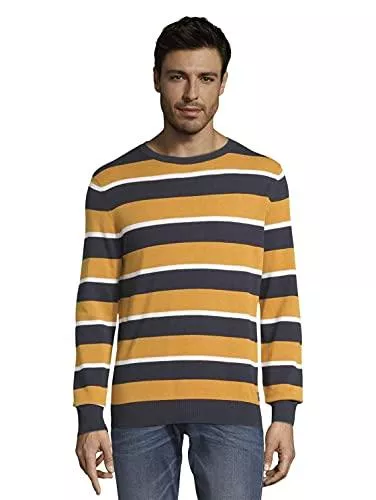 TOM TAILOR Pullover & Strickmode TOM TAILOR Herren Stripe Pullover