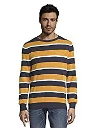TOM TAILOR Pullover & Strickmode TOM TAILOR Herren Stripe Pullover